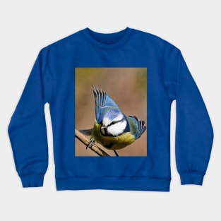 r717/  7 " Les Oiseaux du jardin " simply life " Simplement la Vie " - photo Okaio Créations - Olavia-Olao Crewneck Sweatshirt